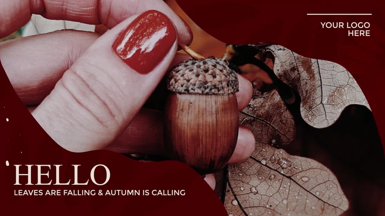Tipografia Autunnale 03 Adobe After Effects 2023 Risoluzione 3840×2160