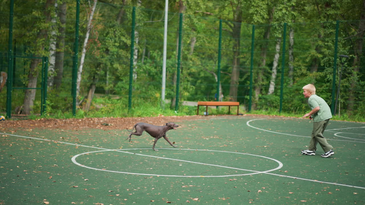White Senior Man Chasing Dog On Basketball Court, Playful Sprint Across Green Tarmac, Loose Leaves Scattering, Hoop And Bench In Background, Joyful Bond Between Owner And Pet In Park