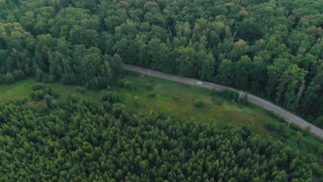 aerial view of a forest road