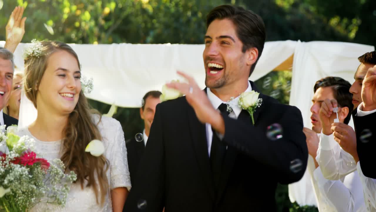 손님들은 신랑과 신부에게 꽃잎을 던집니다. 4k 4k