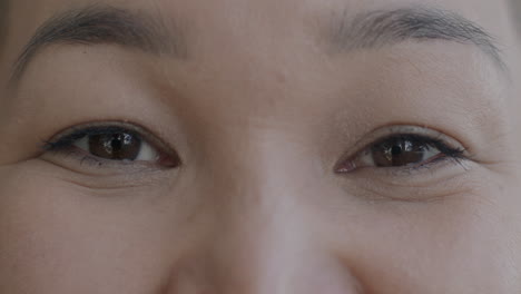primer plano de los ojos de una mujer.