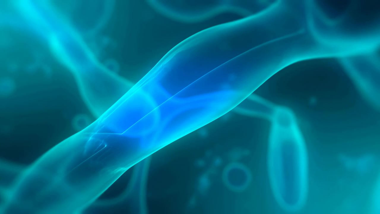 Nastri di luce blu tenue e turchese si muovono su uno sfondo verde acqua scuro, creando un'elegante scena astratta in movimento con profondità, bagliore e fluidità.