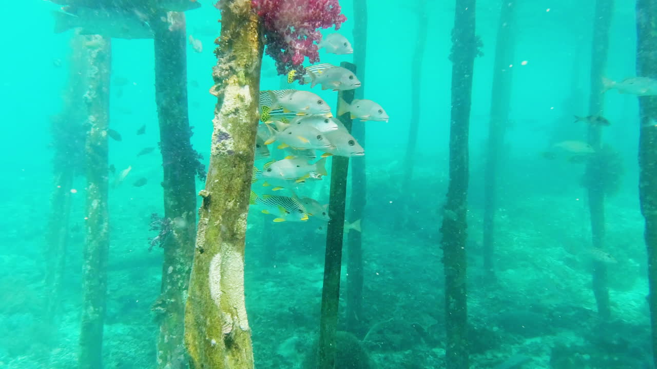 пикабу, я тебя вижу!