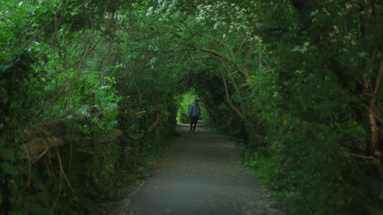 A man walks through a leafy green tunnel on a quiet forest path in spring