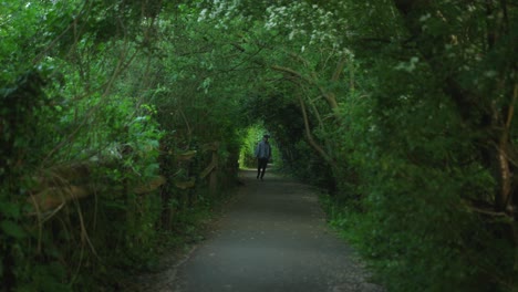 a man walks through a leafy green tunnel on a quiet forest path in spring
