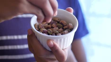 los hombres recogen a mano los pistachos y las nueces