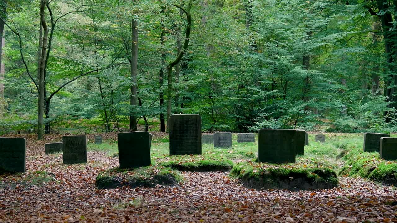 Graveyard in the Forest