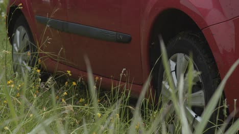 flies flying around a red parked car in a grass field