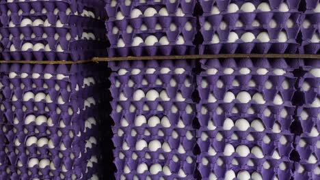 stacked cartons of white eggs
