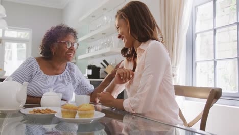 senior mixed race woman drinking tea with her daughter in social distancing