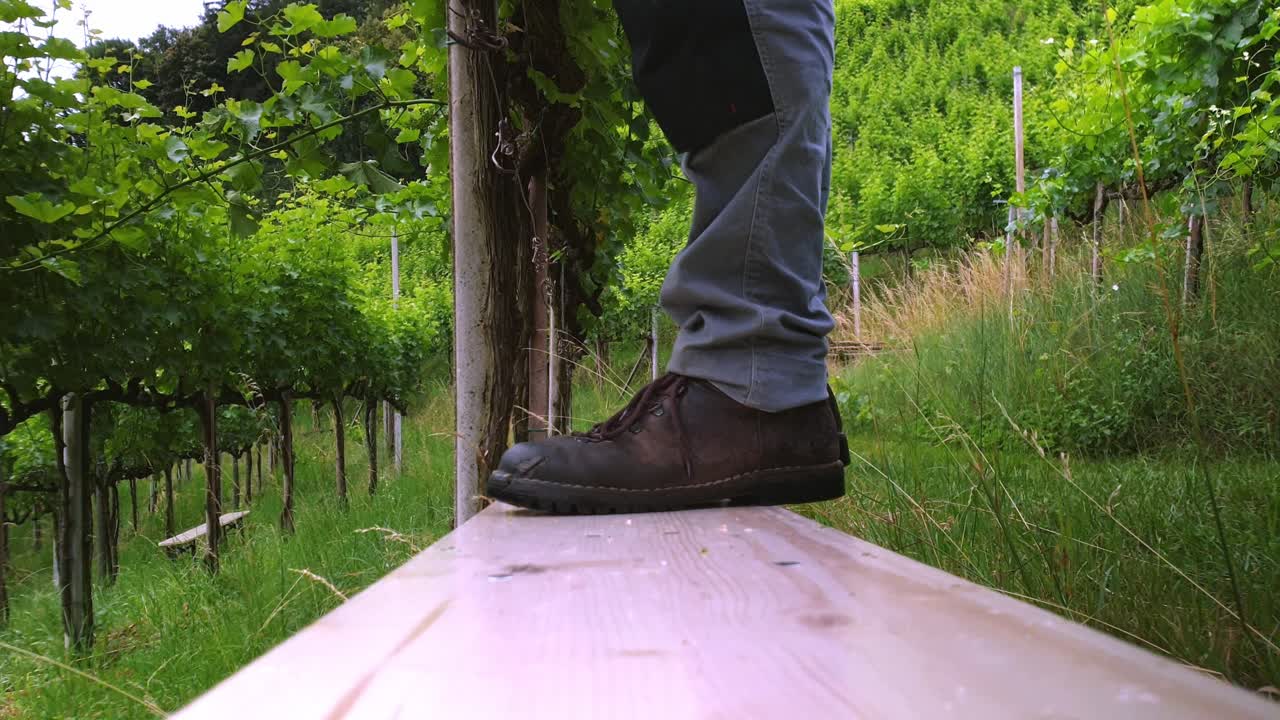 포도원에서 벤치에 스테핑 노동자