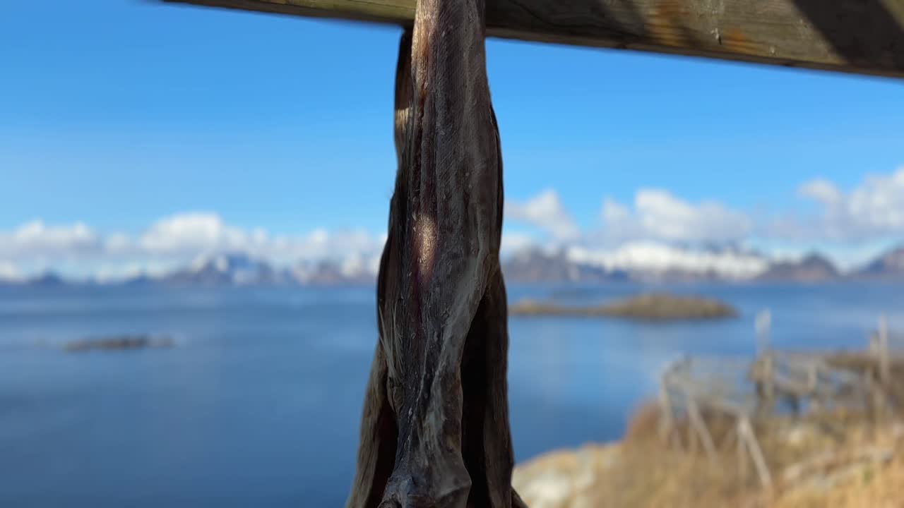 panorama de un pescado tradicional noruego secándose en un estante de madera afuera cerca del océano como se ha hecho desde la era de los vikingos