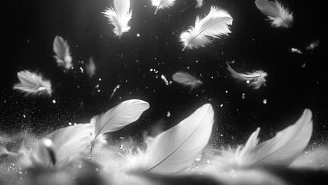 soft feathers in calm air. white feathers float gracefully through the air, creating a serene and peaceful atmosphere in the dark setting.
