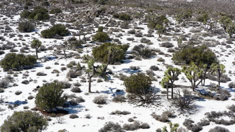 Vista-Aérea-Del-Desierto-De-Joshua-Tree-Cubierto-De-Nieve