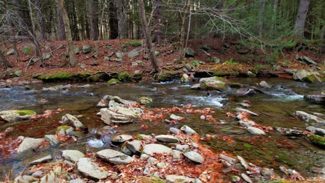 low smooth drone video footage of a beautiful appalachian forest stream during autumn