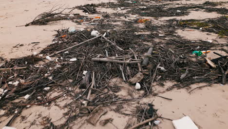 passing over a polluted beach