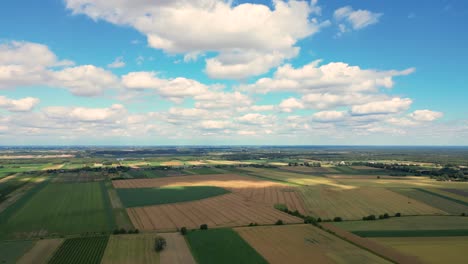 fotografía aérea de un campo agrícola