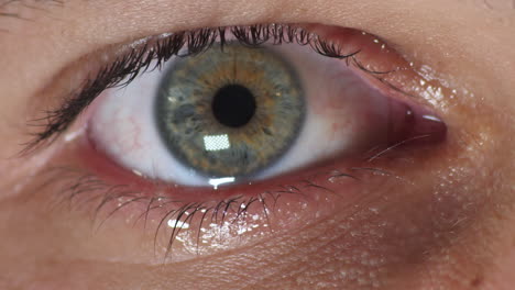 un primerísimo plano de un triste globo ocular avellana - verde - azul mirando directamente a la cámara llorando lágrimas y parpadeando varias veces