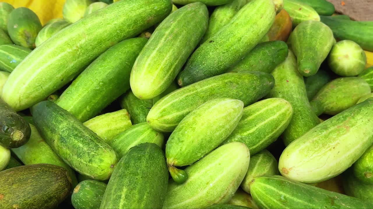 pepino fresco para la venta en el mercado de los agricultores