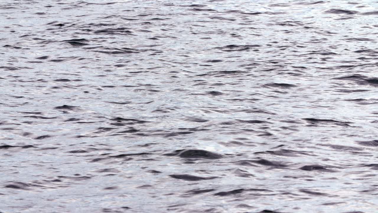 수면 가까이 수면 2 참조