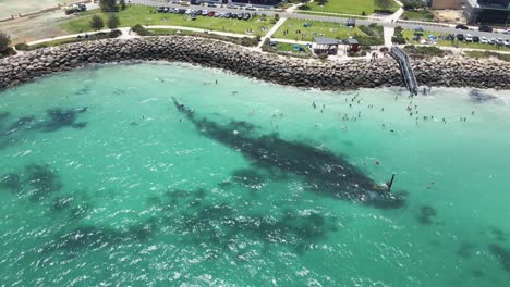 Una-Toma-Aérea-Dinámica-De-Un-Turista-Nadando-En-La-Playa-De-Coogee-Con-El-Naufragio-Del-Omeo