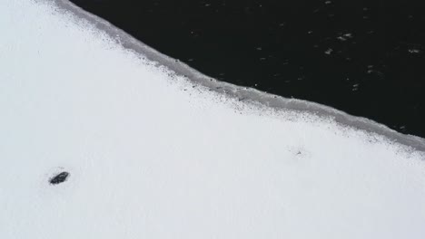 frozen waters and snowy landscape in birds island - aerial shot