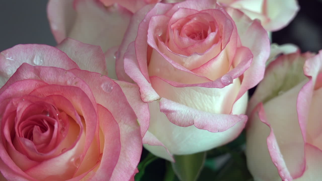 Close up of white and pink roses in a vase near a window