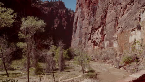 zion national park canyon scenery