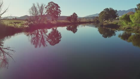 low flying drone over a calm river as it rises it displays the green river banks and vast landscape of vineyards and distant mountains in wine country, bonnievale on the breede river