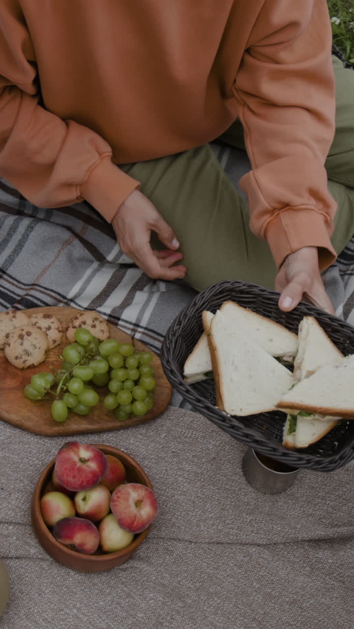 Picnic with sandwiches, fruit, and cookies