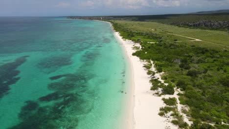 Rising-tilt-down-drone-shot-of-crystal-clear-Caribbean-sea-with-golden-beach-and-green-landscape