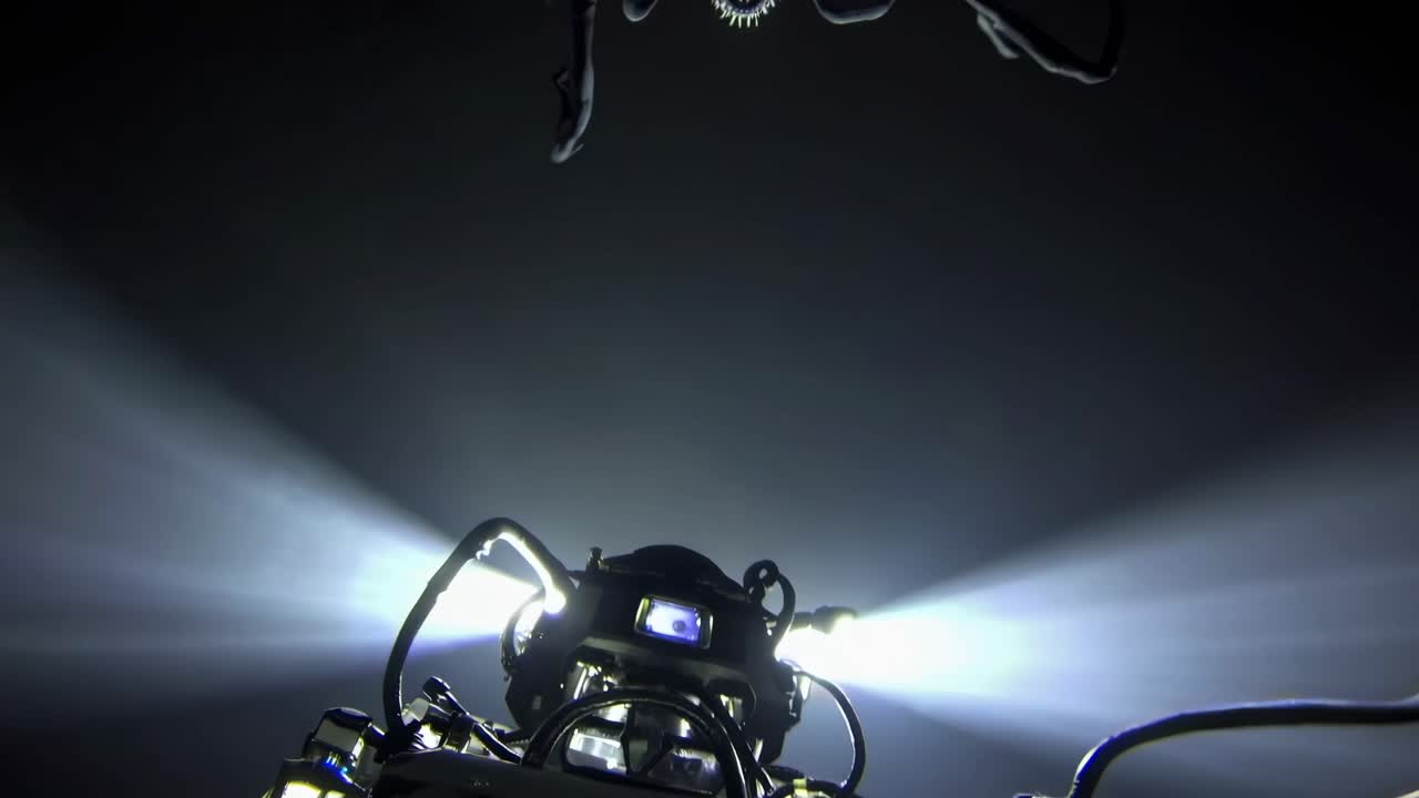 encuentro alienígena bajo el agua