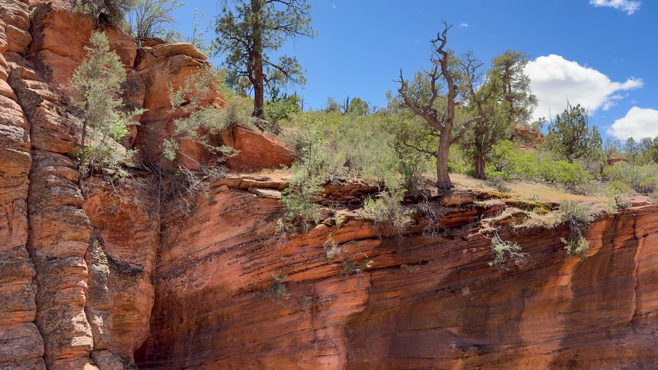 Inquadratura statica di vivaci strati di arenaria Navajo e parete del canyon. Perfetto per progetti di viaggio, natura e geografici.