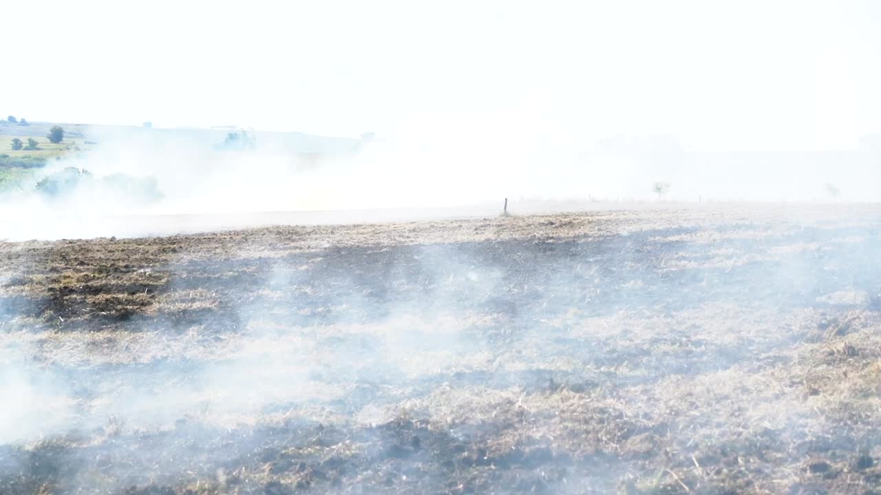 재와 연기로 뒤덮인 불타버린 농장 목초지, 남아메리카, 와이드 샷