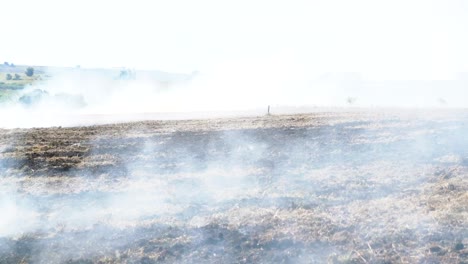 pasto quemado cubierto de cenizas y humo, américa del sur, plano general