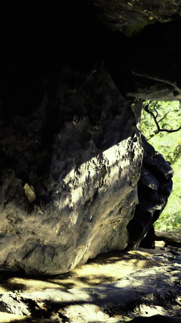 Esplorando una grotta rocciosa con alberi e la luce del sole che filtra dall'ingresso.
