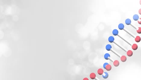 Animation-Eines-DNA-Strangs,-Der-Sich-über-Weiße-Lichter-Auf-Weißem-Hintergrund-Dreht