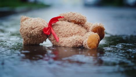 the abandoned little bear lies on a wet road it's raining loss and depression concept 4k video