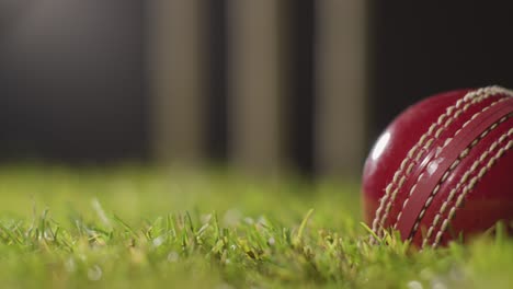 cricket still life with close up of ball lying in grass in front of stumps