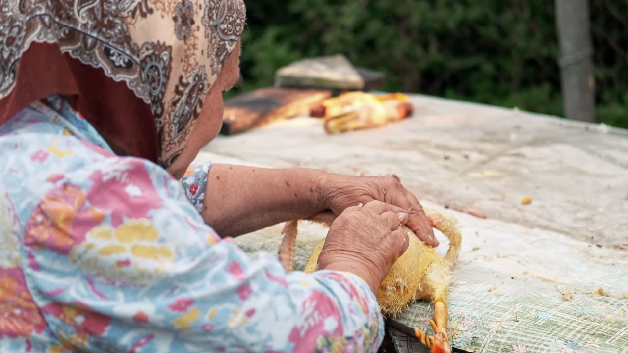 A grandma plucking a dead duck. Village