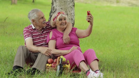 Family-weekend-picnic.-Senior-old-grandparents-couple-in-park-using-smartphone-and-makes-selfie