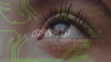 circuit patterns and crypto text animation over close-up of human eye