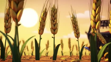 golden fields of wheat: a journey through the harvest, showcasing the transition from flourishing crops to modern agricultural machinery