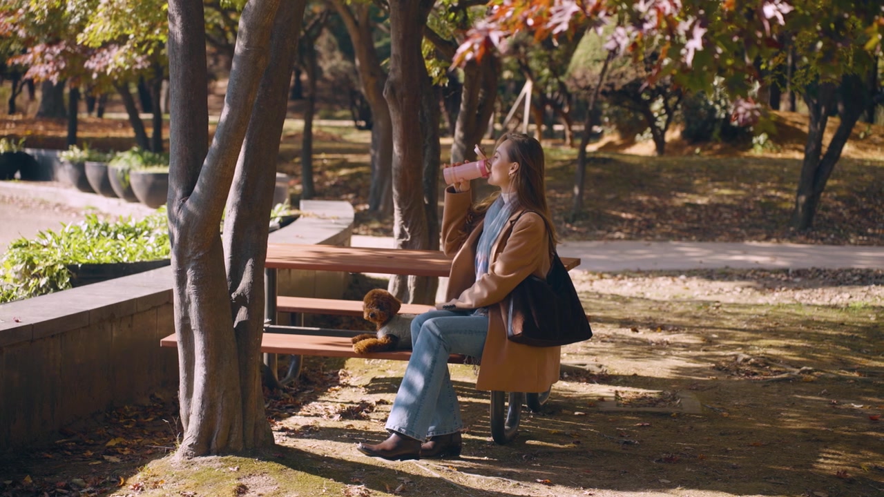 秋の公園のベンチでトイプードル犬と一緒にくつろぐ若い女性。水筒から温かい飲み物を飲んでいる。パララックスショット。