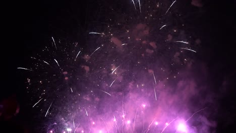 fuegos artificiales increíblemente hermosos y coloridos explotando contra el cielo nocturno negro