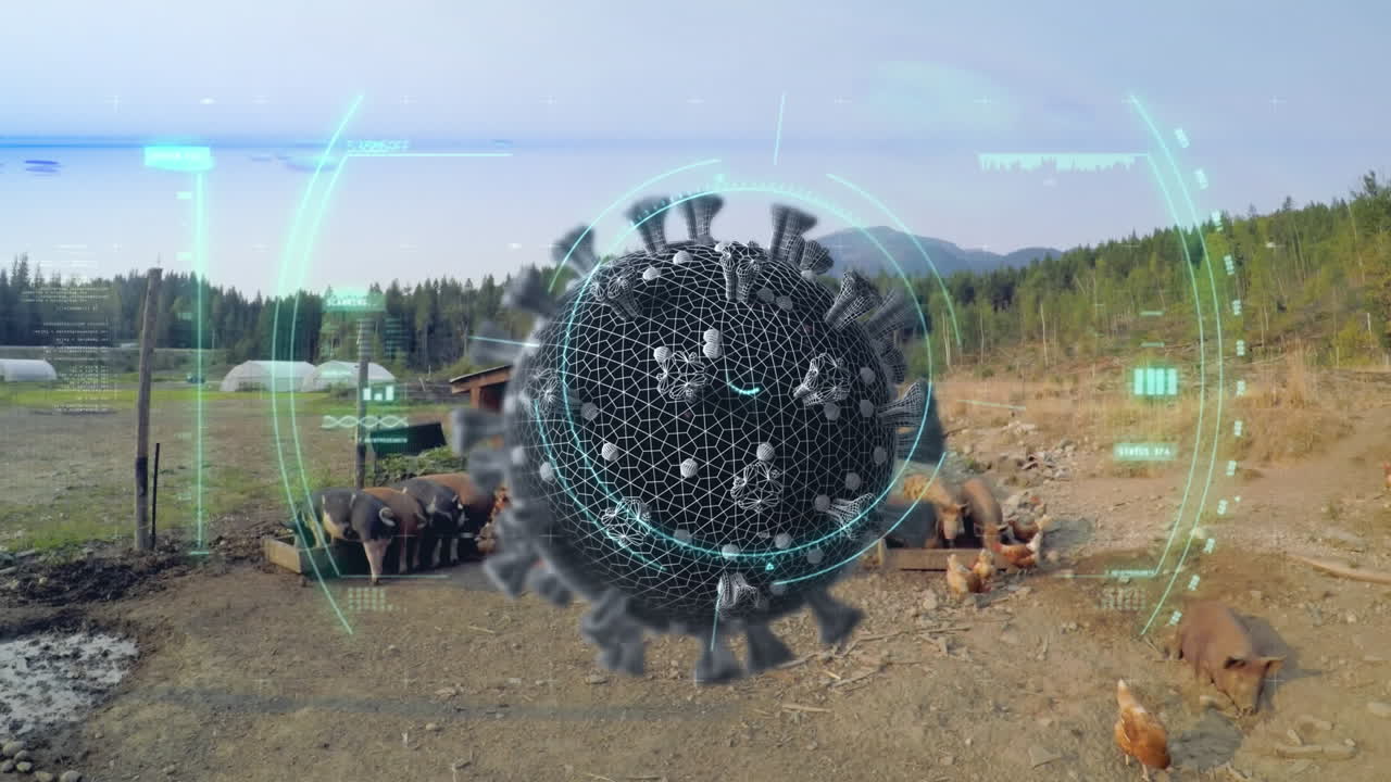 сканирование клетки covid-19 против куриц и свиней, питающихся на ферме