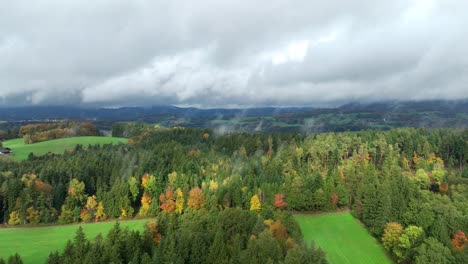 colored trees in autumn countryside nature during foggy morning