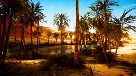 un oasis con palmeras en el desierto