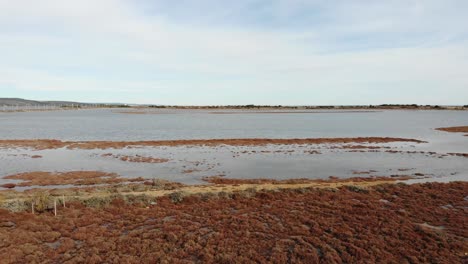 aerial: marsh in southern france with blue sky in the background in winter