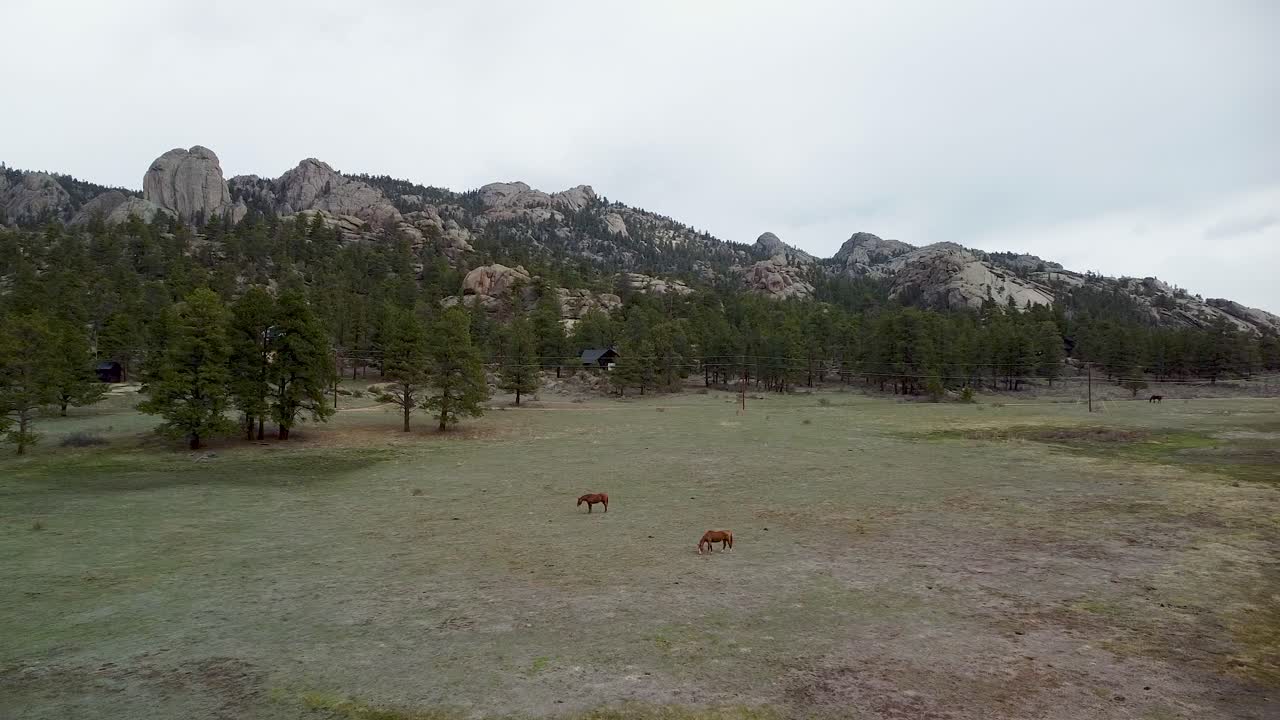 Ripresa aerea in ascesa di cavalli nel pascolo con la natura selvaggia di Lumpy Ridge sullo sfondo, Estes Park, Colorado.